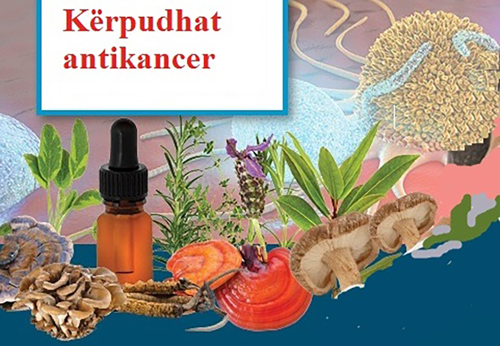 Historia e shërimit të pacientit me kancer në pankreas dhe metastaza në mëlçi