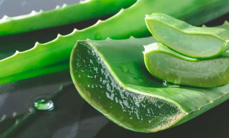 Përfitimet e Aloe Vera-s në stomatologji